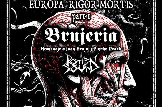 LOS AMANTES SEVILLANOS DE LOS SONIDOS EXTREMOS DEATH METAL/GRINDCORE TIENEN UN FESTÍN TRIPLE EL 26 DE ENERO EN LA SALA CUSTOM, CON LA VISITA DE CARCASS, BRUJERÍA Y ROTTEN SOUND